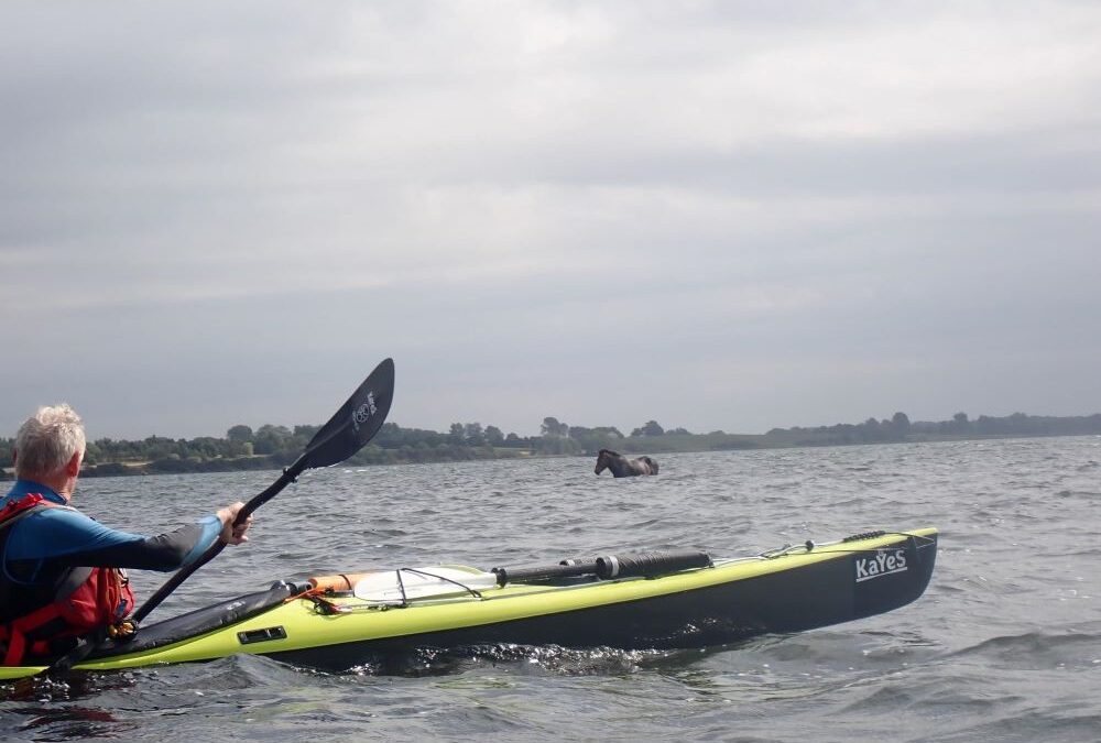 Kajaktur rundt om Tærø og Langø i Ulvsund