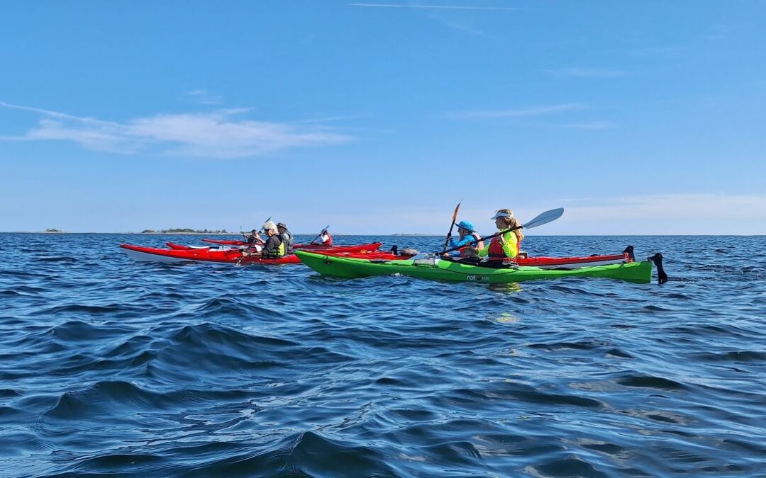 Kajaktur i Listerby Skærgård Blekinge