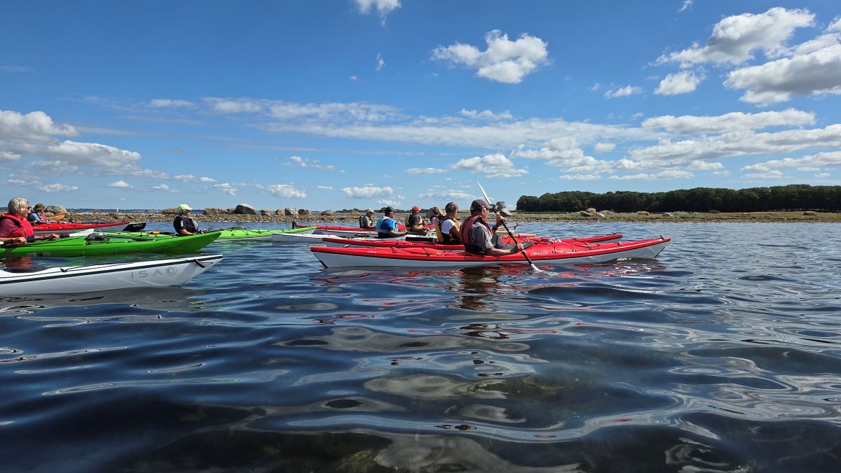 Kajaktur fra Roskilde Sejlklub til Kattinge Vig