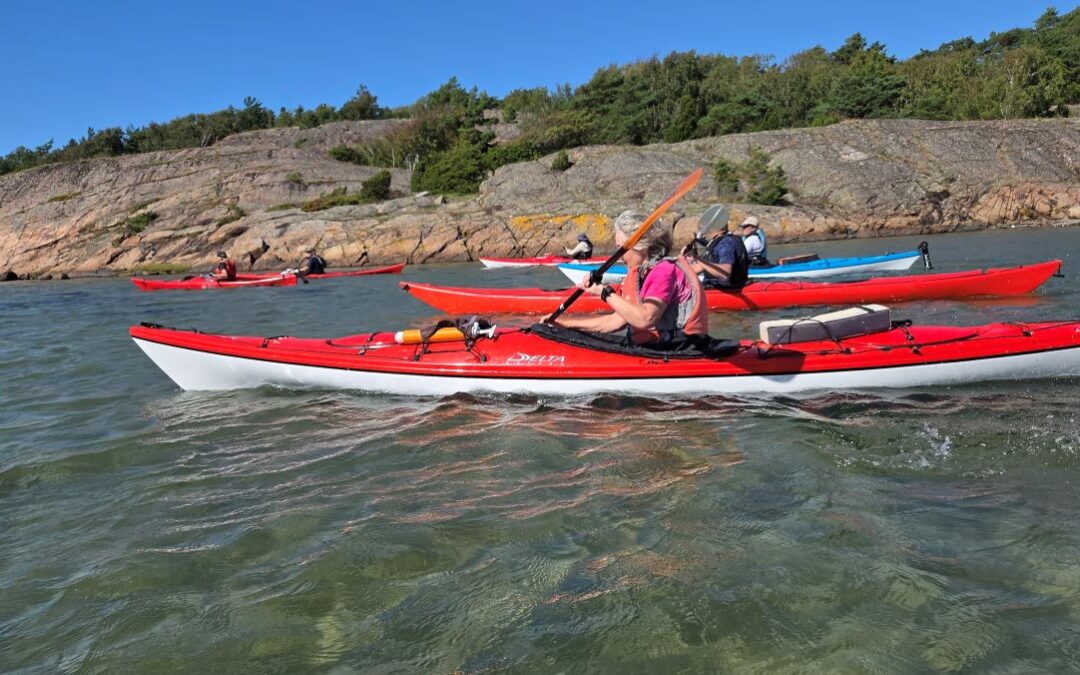 Kajaktur Bohus Län Skærgård
