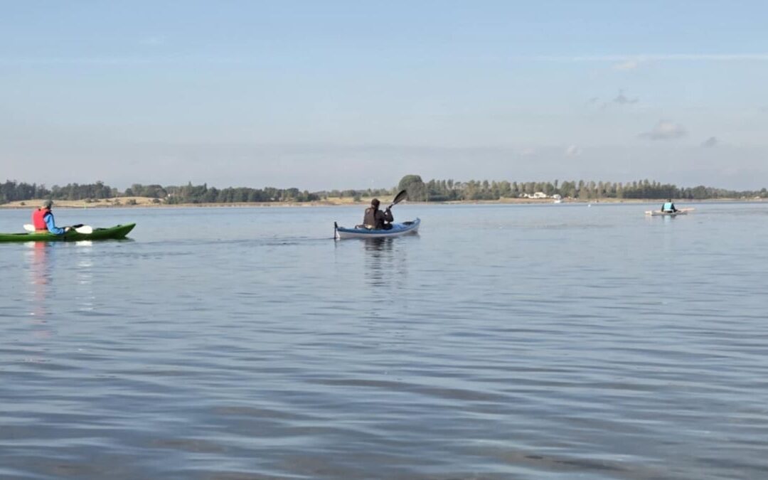 Senior kajaktur fra Jyllinge Marina til Skuldelev Havn.