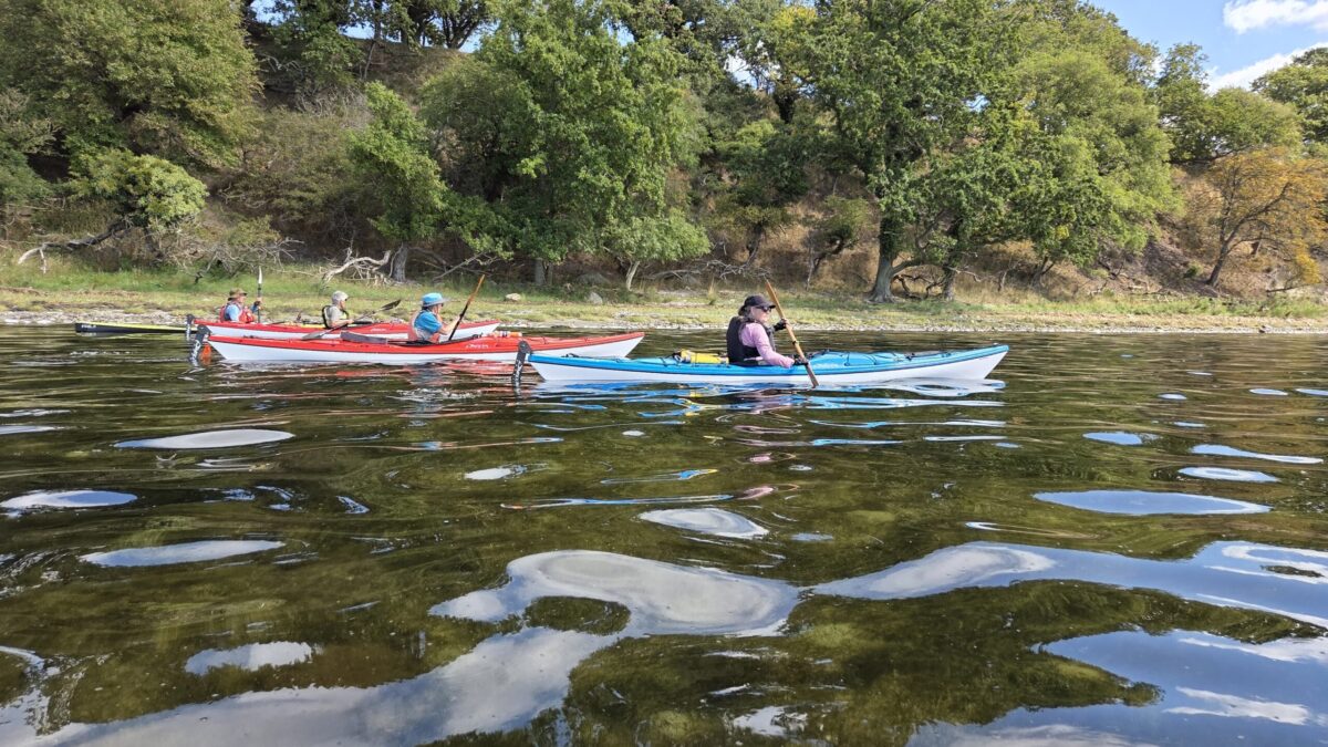 Roskilde Kattinge 2026