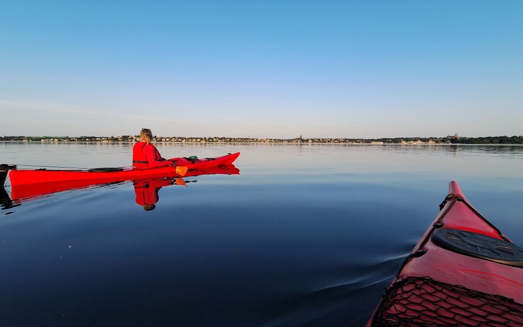 Guidet kajaktur på Roskilde Fjord