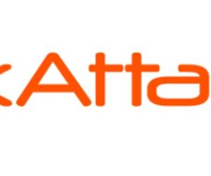 YakAttack kat billede